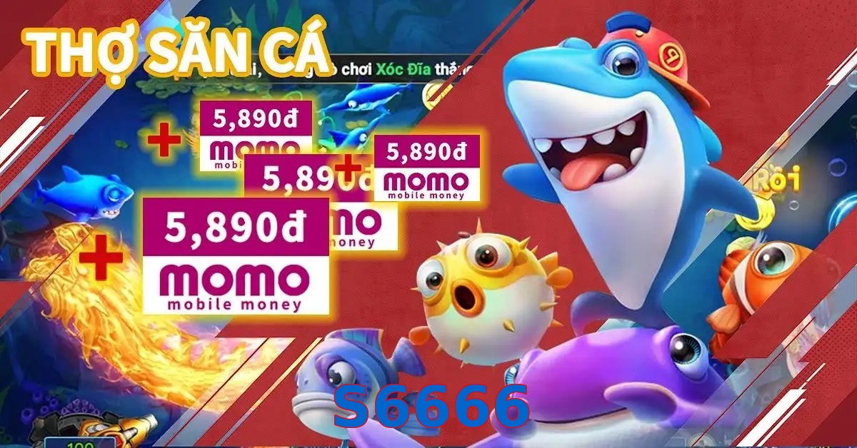 S6666